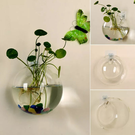 8CM/10CM/12CM Glass Vase Wall Hanging Hydroponic Terrarium Fish Tanks Potted Plant Flower pot MAY-18A